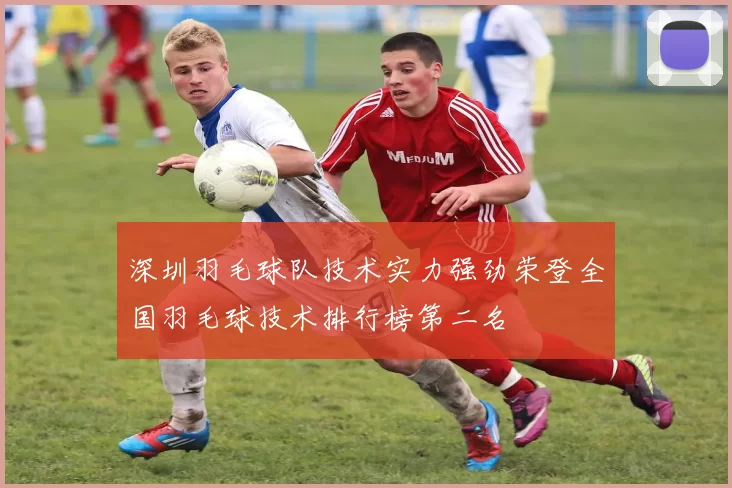 深圳羽毛球队技术实力强劲荣登全国羽毛球技术排行榜第二名