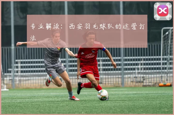 专业解读：西安羽毛球队的运营打法