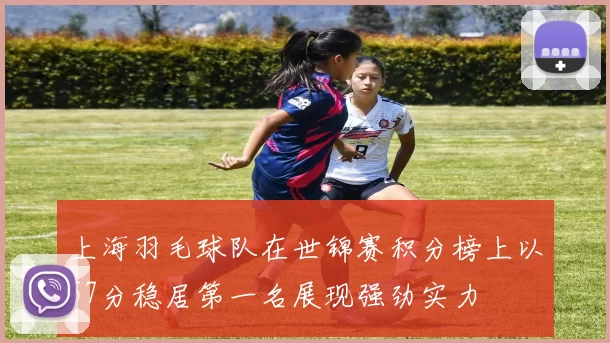 上海羽毛球队在世锦赛积分榜上以57分稳居第一名展现强劲实力