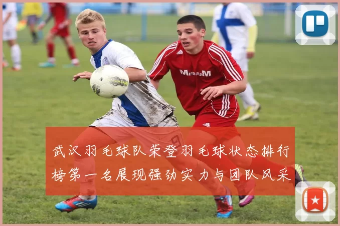 武汉羽毛球队荣登羽毛球状态排行榜第一名展现强劲实力与团队风采