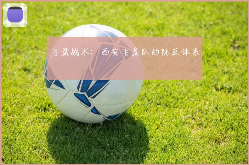 飞盘战术：西安飞盘队的防反体系