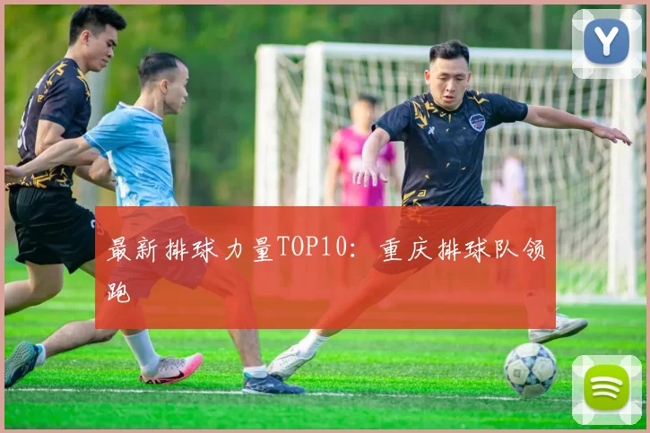 最新排球力量TOP10：重庆排球队领跑