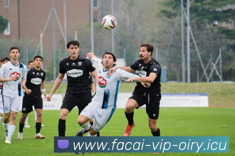 乐鱼体育APP 高清赛事图